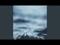 Biofield (Intake Dub)