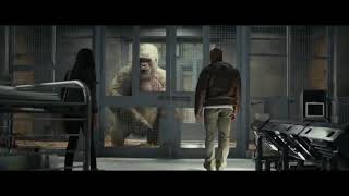 Hollywood Movie In Hindi  Dubbed ! Rampage Movie 2