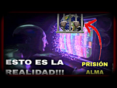 Todo lo que vemos es una DISTRACCIÓN para no ESCAPAR DE LA PRISIÓN.