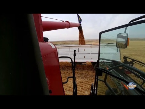 🔴Live! Harvest 2018 Part 6 - Welker Farms Inc
