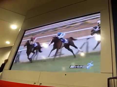 2018年12月16日阪神11Ｒ：Ｇ1「朝日杯」「アドマイヤマース」