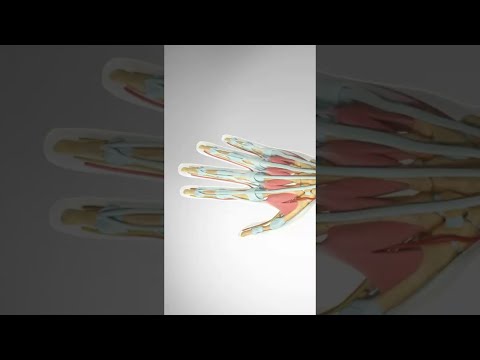 Guess The Spine Injury And Procedure Challenge