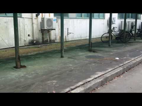 Thumbnail for How to charge an electric car in China - Part 1 by PHEV, Car