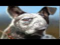 Rae Rae Mp4 EAR RAPE BASS BOOSTED