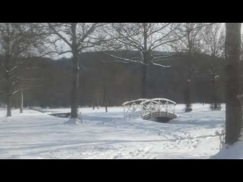 Es war kalt (Original)