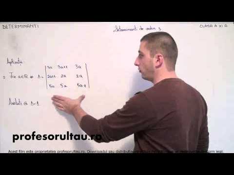 05   cls11   Determinanti   determinanti de ordin 3   aplicatii   partea 2 - profesorultau.ro