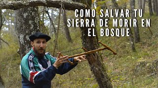Thumbnail del capítulo