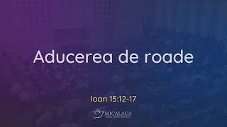 24 Martie 2024 | Duminică dimineața