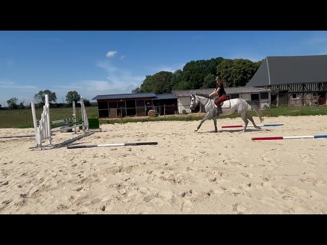 Top jument de 4 ans 
