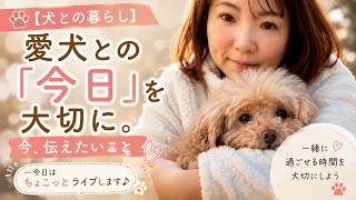 【犬との暮らし】愛犬との「今日」を大切に。今、伝えたいこと