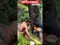 Dark Secret Of Vidyut Jamwal Trending Viral Fact Mystery