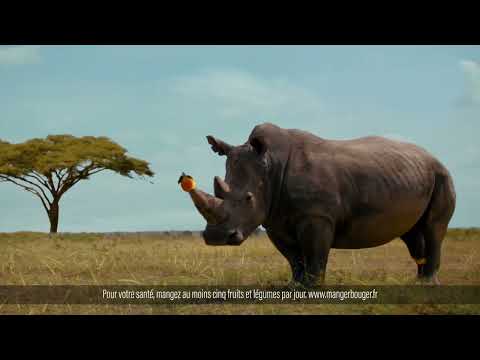 ORANGINA - Ce qu'il peut arriver de mieux à une Orange #2