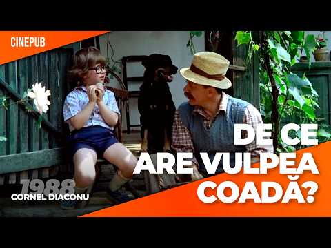 WHY DOES THE FOX HAVE A TAIL? (1988) by Cornel Diaconu - comedy film online on CINEPUB