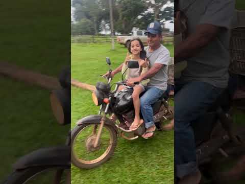 Sítio 2 irmãos/ Jaraguari MS #agro #matogrossodosul