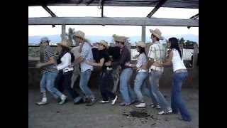 cow show comercial