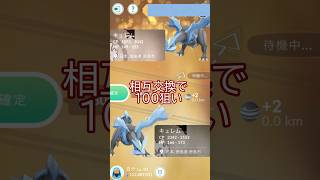 🆕新背景キュレム🐲キラ交換で100狙い🔁✨#ポケモンgo #pokemongo #pokemongoshorts