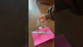 便利アイテム!虫取り器マジで使えるッ