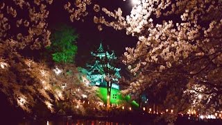 preview picture of video '「高田の夜桜」見ごろ2015～高田城百万人観桜会（Cherry blossoms by night of  Takadajyo are best time）'