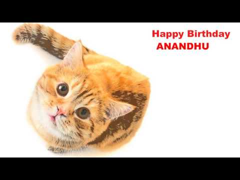 Anandhu   Cats Gatos - Happy Birthday