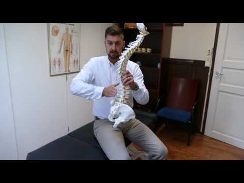 Katso video