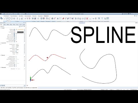 Spline