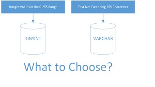 What are MySQL Data Types and How to Choose Them?