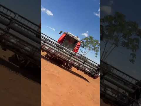 COLHEITADEIRA MASSEY FERGUSON MF 34 ANO 2004 R$ 85.000,00 Usado - 2004 Localização: Caiapônia / GO
