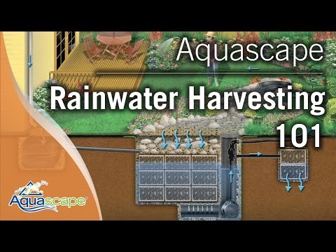 Aquascape's Rainwater Harvesting 101