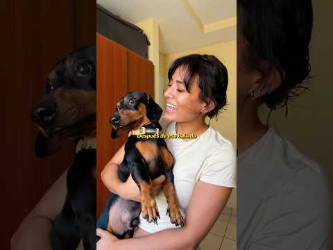 Short Wendy Vilchez