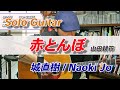 【solo guitar】赤とんぼ/ 城直樹-Naoki Jo【城直樹ソロギターコレクション】