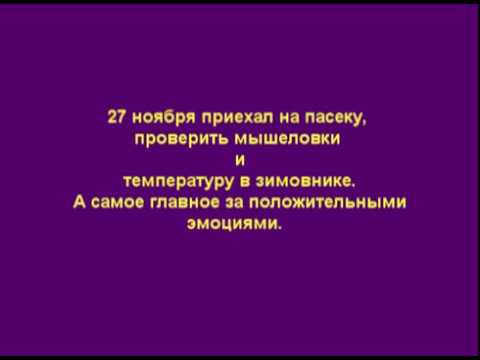 поездка на пасеку,проверка мышеловок и температуры в зимовнике