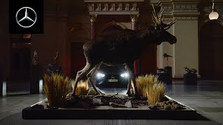  The Art of Safety: Here’s to Over 25 Years of ESP