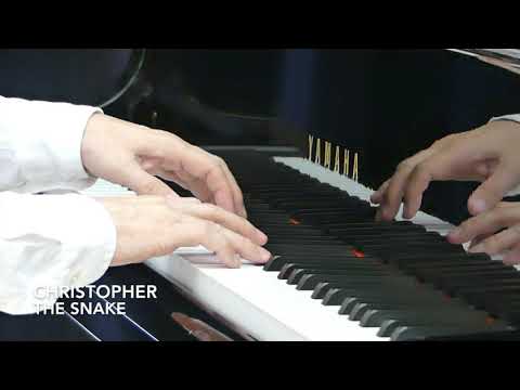 CHRISTOPHER :: The Snake :: Piano Exam