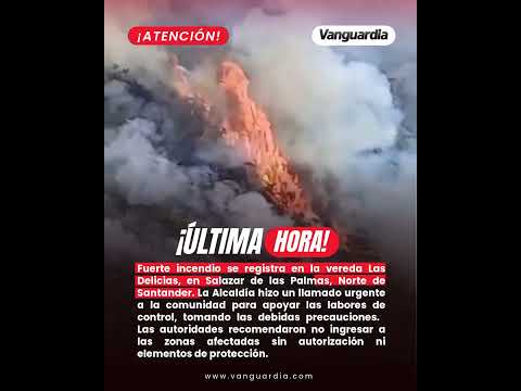 Fuerte incendio se registra en la vereda Las Delicias, en Salazar de las Palmas, Norte de Santander.