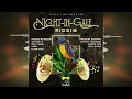 Freddie McGregor - Here I Come [Night in Gale Riddim by Train Line Records] 2022