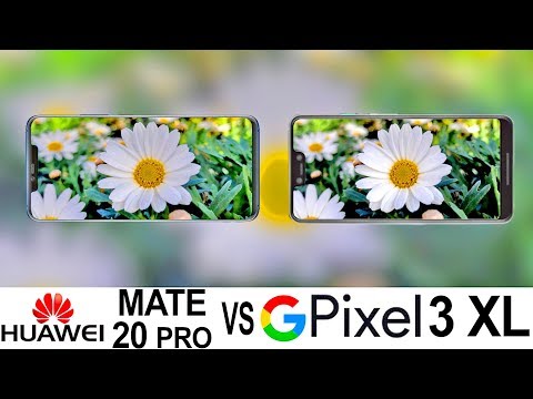 Huawei Mate 20 Pro Vs Google Pixel 3 XL Camera Test