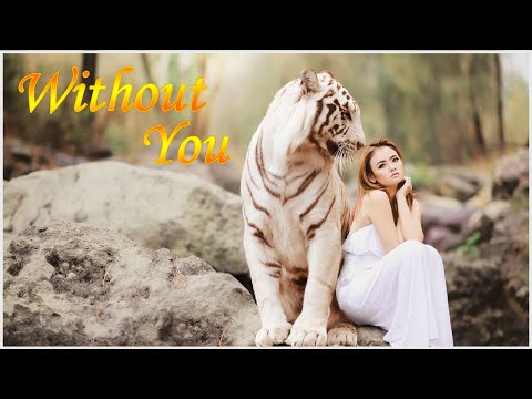 Marin Hoxha feat. Nilka - Without you [FreshMusicWave]