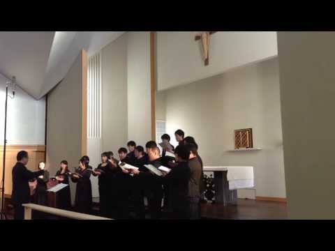 Carlo Gesualdo (ca.1561-1613): Amicus meus - Contraponto