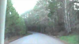 preview picture of video 'Dashing Deer Caught on Dashcam'