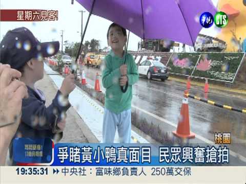 風勢減弱了... 黃小鴨充氣完成