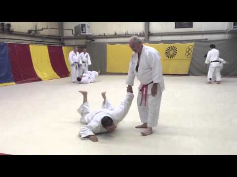 KIHARA KATA/AIKIDO: HIKI TAOSHI B.G. Smith, Sensei (9°, Tori) and David Witt, Sensei (8°, Uke)