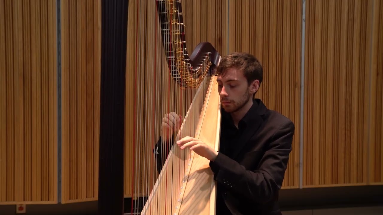 Promotional video thumbnail 2 for Kalen Smith - Harpist