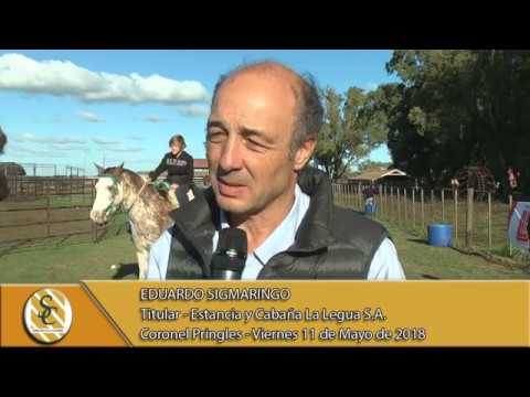 11-05-18 Nota Eduardo Sigmaringo - Dia de Campo " Est. y Cab. La Legua S.A. " - Coronel Pringles.