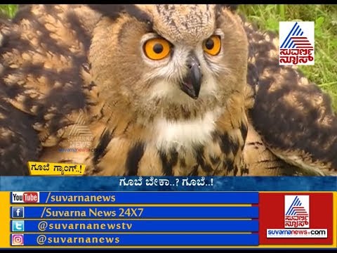 Deadly Robbery| Owl Mafia- P1: ಕರ್ನಾಟಕ ಬಾರ್ಡರ್ ನಲ್ಲಿ ಈ ಮೋಸ್ಟ್ ವಾಂಟೆಡ್  ಗ್ಯಾಂಗ್...!