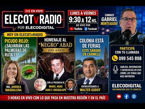 ELECODIGITAL EN VIVO. NOTICIAS DEL 4 DE JUNIO DE 2026. DESDE CARMELO PARA TODA LA REGION.