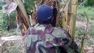 preview picture of video 'Sukir SAS LA (Spring Airsoftgun Squad Lamongan)'