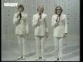 The Scaffold - Lily The Pink 
