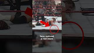Was That Owen Hart’s Blood on the Ring?