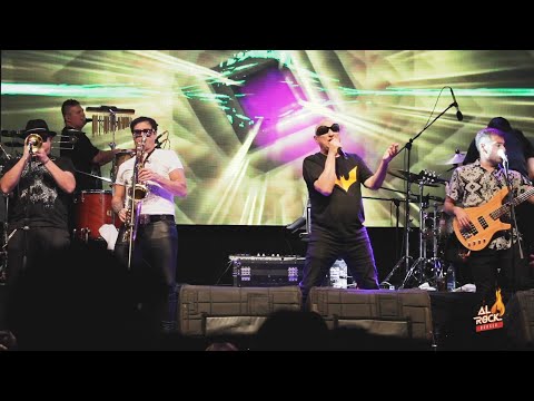 LA MOSCA TSE TSE - Cha Cha Cha (Bucaramanga, Colombia) Live performance 2022