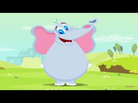 L'elefante con le ghette - Compilation 20 min di Canzoni per Bambini di Dolci Melodie